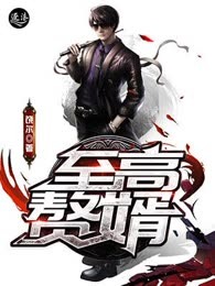 至高赘婿