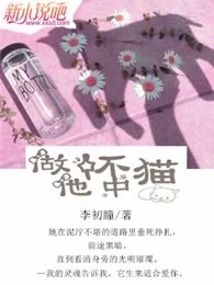 做他怀中猫