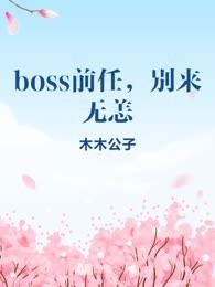 boss前任，别来无恙
