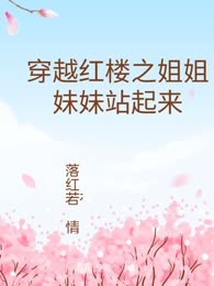 穿越红楼之姐姐妹妹站起来