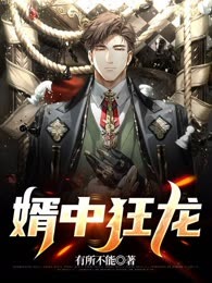 婿中狂龙