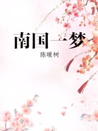 南国一梦
