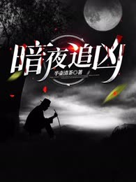 暗夜追凶
