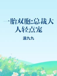 一胎双胞:总裁大人轻点宠