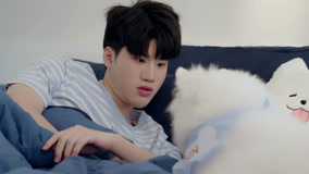 Watch the latest Dogbro Trailer (2025) online with English subtitle for free English Subtitle