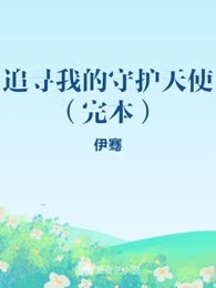 追寻我的守护天使（完本）