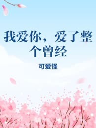 我爱你，爱了整个曾经