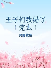 王子们我错了（完本）