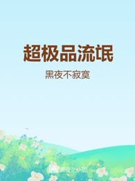 超极品流氓