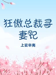 狂傲总裁寻妻记