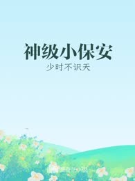 神级小保安