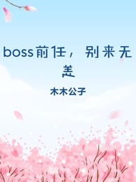 boss前任，别来无恙