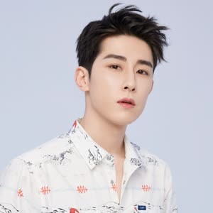 Lin Fengsong